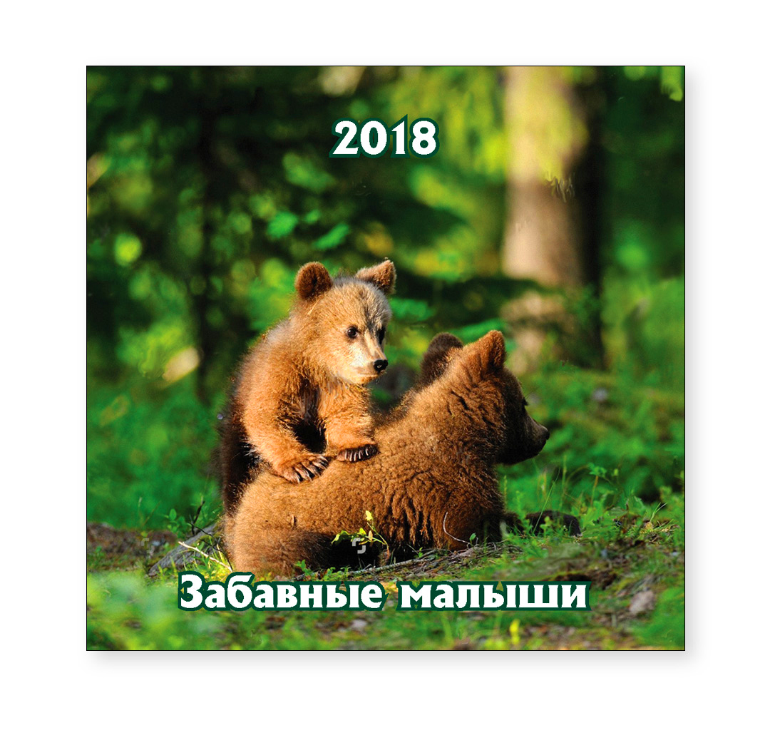 Перекидной календарь-2018 (29×29) Забавные малыши. Арт. 11.2.20