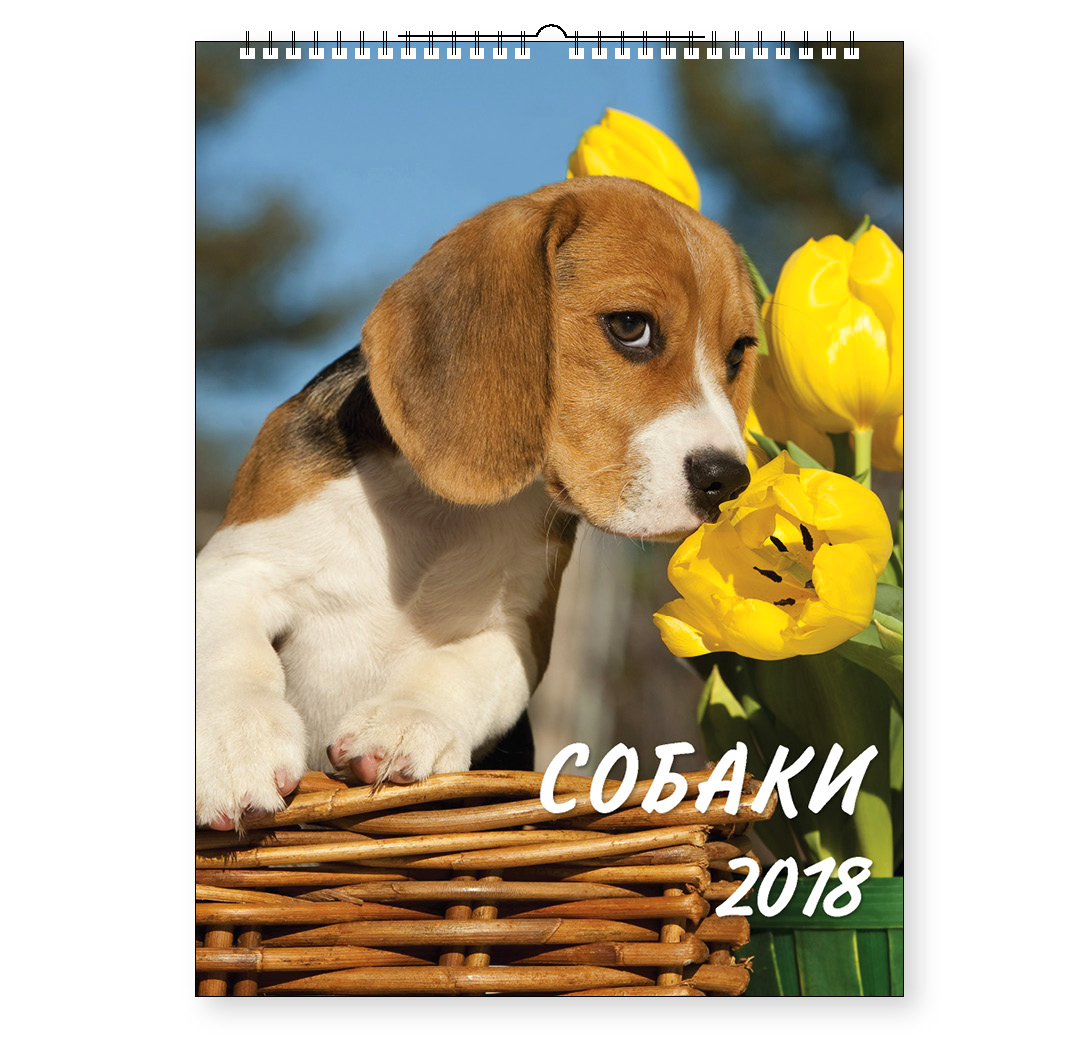 Перекидной календарь-2018 (А2) Собаки. Арт. 08.1