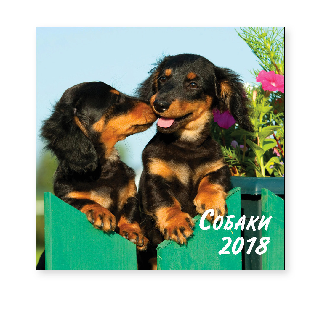 Перекидной календарь-2018 (29×29) Собаки. Арт. 11.2.1