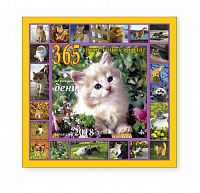 Календарь-2018 (29х29, 300 фото) 365 котят. Арт. 11.1.3