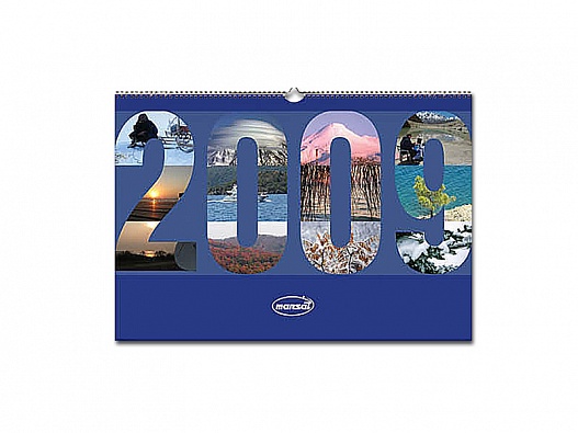 Календарь перекидной на 2009 год «Морсвязьспутник»
